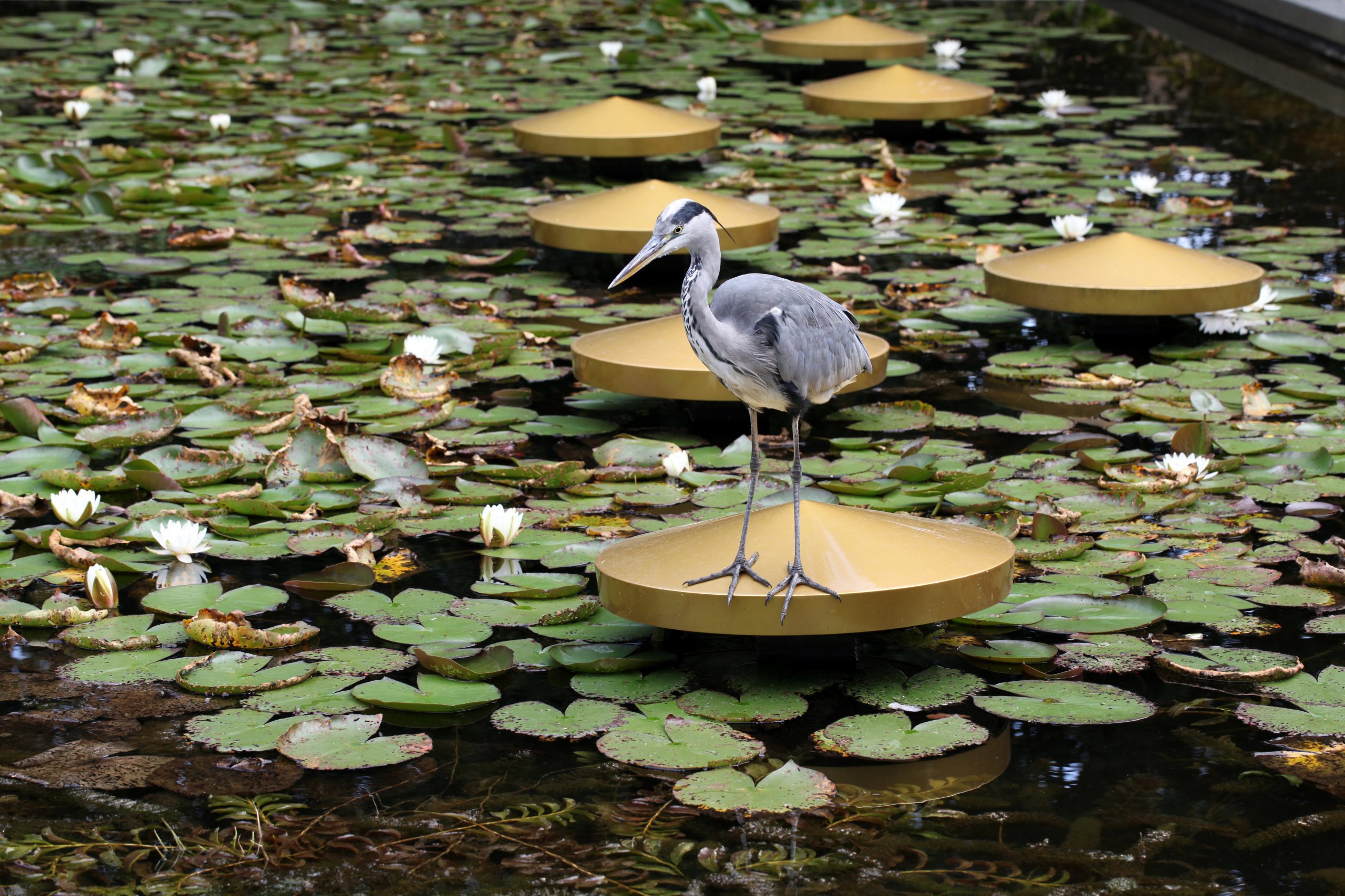 httpdenieuweooster.test.hkbo.nlgedenkpark